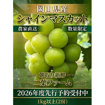 【2026年先行受付】岡山のぶどう(シャインマスカット)1kg以上(2房)