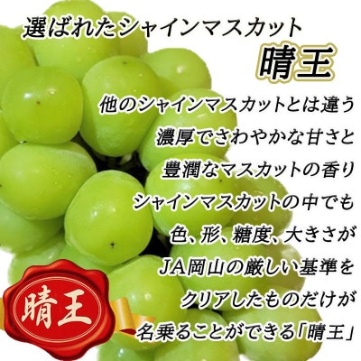 【2025年8月下旬以降順次発送】岡山名産【晴王】シャインマスカット1房約650g秀品!