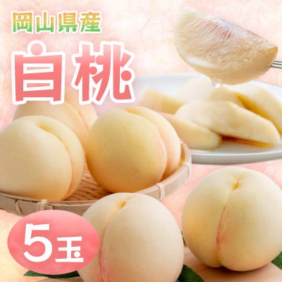 岡山県産白桃　5玉・約1.3kg(クール便)