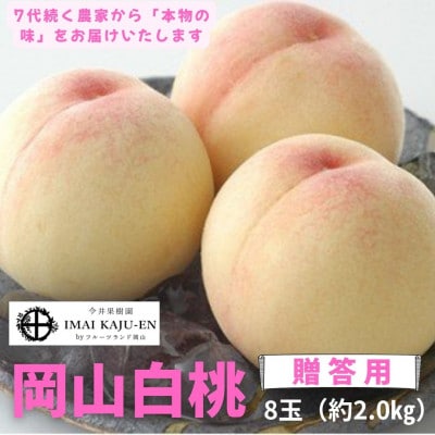 【2026年発送】岡山県産白桃　8玉・約2.0kg(クール便)