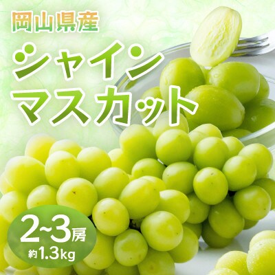 岡山県産シャインマスカット　約1.3kg・2～3房(クール便)