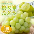 【2026年発送】岡山県産桃太郎ぶどう　1房・約500g(クール便)