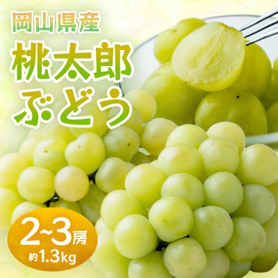 岡山県産桃太郎ぶどう　2～3房・約1.3kg(クール便)