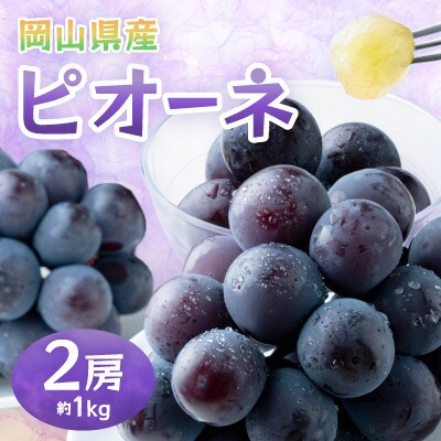 岡山県産ピオーネ　約1kg(約500g×2房)