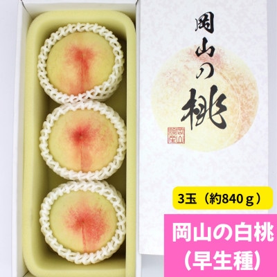 岡山の白桃(早生種)　大玉3玉(約840g)