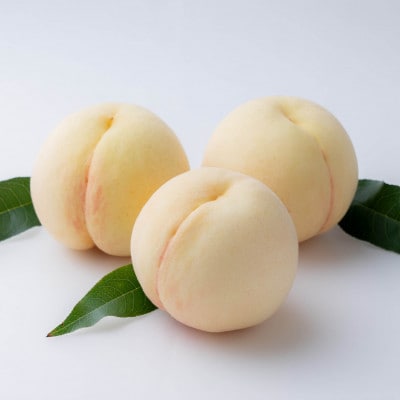 岡山の白桃(早生種)　大玉3玉(約840g)