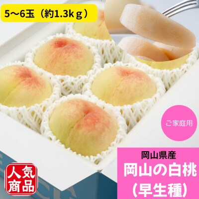 ご家庭用　岡山の白桃(早生種)　約1.3kg(5～6玉)