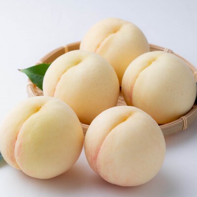 ご家庭用　岡山の白桃(早生種)　約1.3kg(5～6玉)