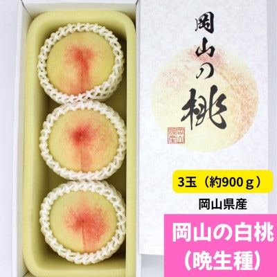 岡山の白桃(晩生種)　大玉3玉(約900g)