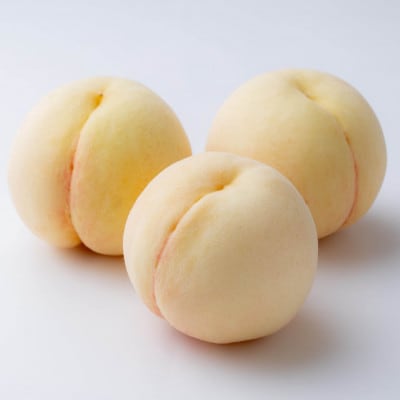 岡山の白桃(晩生種)　大玉3玉(約900g)