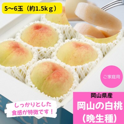 ご家庭用　白桃(晩生種)　 約1.5kg(5～6玉)