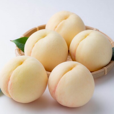 ご家庭用　白桃(晩生種)　 約1.5kg(5～6玉)