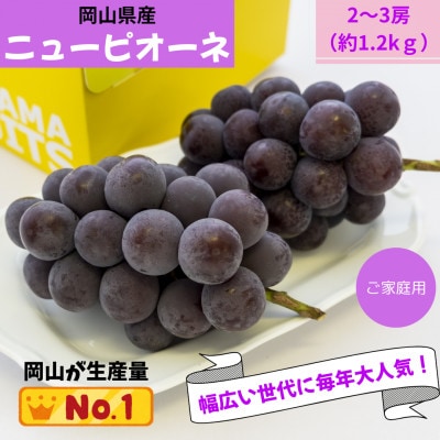 ご家庭用　岡山県産ニューピオーネ(クール便)　約1.2kg(2～3房)