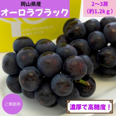 ご家庭用　岡山県産オーロラブラック(クール便)　約1.2kg(2～3房)