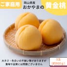【先行受付】ご家庭用　おかやまの黄金桃　大玉3玉　約900g