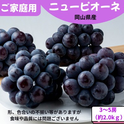 ご家庭用 ニューピオーネ 約2.0kg(3～5房)