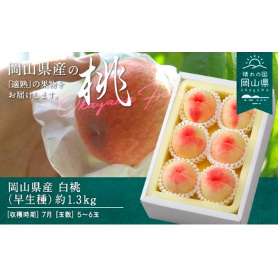 岡山県産　白桃(早生種)約1.3kg(5～6玉)