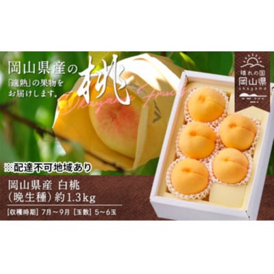 岡山県産　白桃(晩生種)　約1.3kg(5～6玉)
