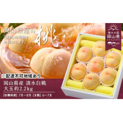 岡山県産　清水白桃　約2.2kg(大玉6～7玉)