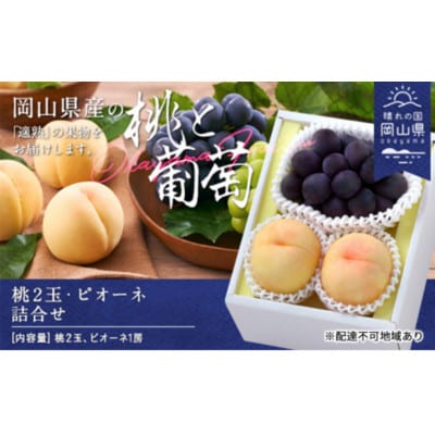 桃・ピオーネ詰合せ(白桃晩生種2玉・ニューピオーネ1房)　合計約1.0kg