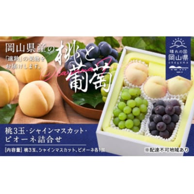 白桃(晩生種)3玉・シャインマスカット1房・ニューピオーネ1房詰合せ　合計約1.8kg