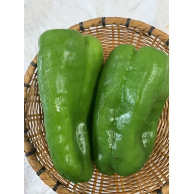 季節のおまかせ野菜セット