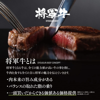 【将軍牛】特選ヒレステーキ 300g