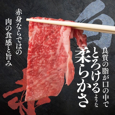 【将軍牛】特選すき焼きセット ロース もも 2種類 1kg