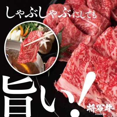 【将軍牛】特選すき焼きセット ロース もも 2種類 1kg