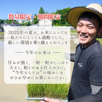 2025年新米【コシヒカリ 玄米10kg】|-comeback未来ce-