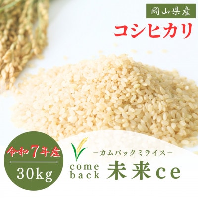2025年新米【コシヒカリ 玄米30kg】|-comeback未来ce-