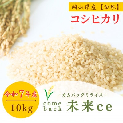 2025年新米【コシヒカリ 白米10kg】|-comeback未来ce-