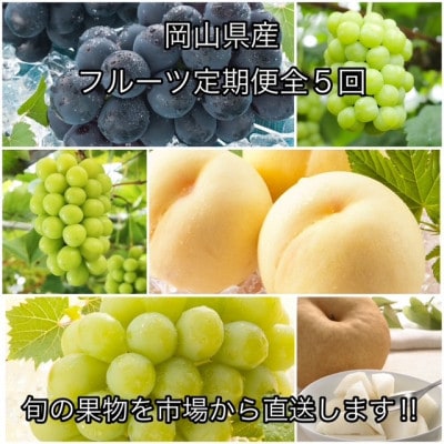 【発送月固定定期便】岡山県産 フルーツ定期便全5回