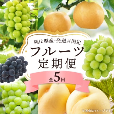 【発送月固定定期便】岡山県産 フルーツ定期便全5回