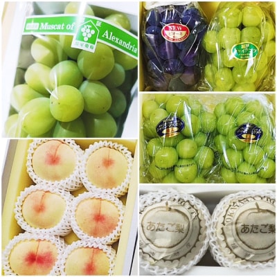 【発送月固定定期便】岡山県産 フルーツ定期便全5回