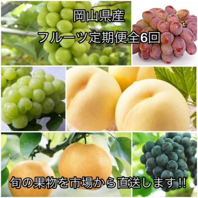 【発送月固定定期便】岡山県産 フルーツ定期便全6回