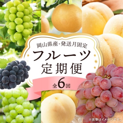 【発送月固定定期便】岡山県産 フルーツ定期便全6回