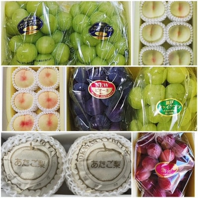 【発送月固定定期便】岡山県産 フルーツ定期便全6回