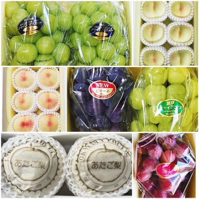 【発送月固定定期便】岡山県産 フルーツ定期便全6回