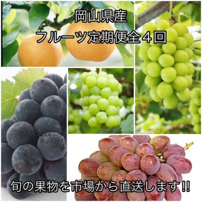 【発送月固定定期便】岡山県産 フルーツ定期便全4回