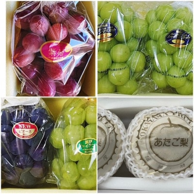 【発送月固定定期便】岡山県産 フルーツ定期便全4回