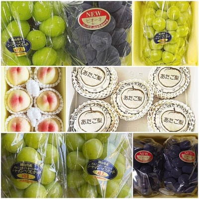 【発送月固定定期便】岡山県産  フルーツ定期便全6回