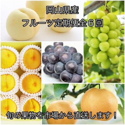 【発送月固定定期便】岡山県産  フルーツ定期便全6回
