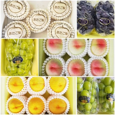 【発送月固定定期便】岡山県産  フルーツ定期便全6回