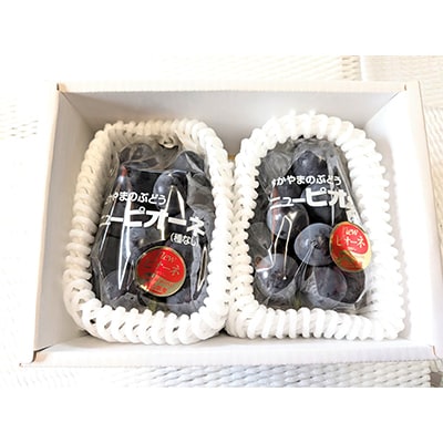 【先行受付】岡山県産朝採りニューピオーネ　2房入(約1kg)