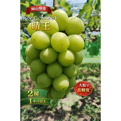 先行予約　岡山産　完熟シャインマスカット　2房　1キロ以上