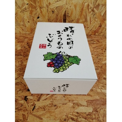 【さとふる限定】先行予約　岡山産　完熟シャインマスカット　2房　1キロ以上