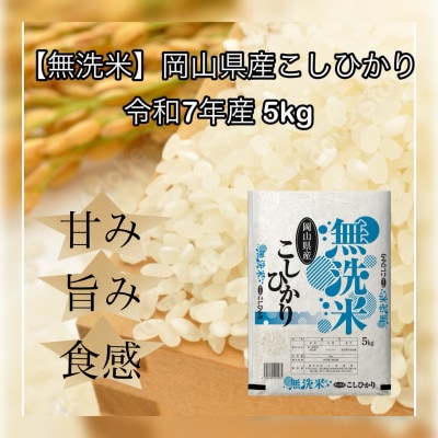 【無洗米】令和7年産 岡山県産 こしひかり 5kg