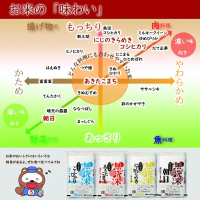 【無洗米】令和7年産 岡山県産 にじのきらめき 5kg