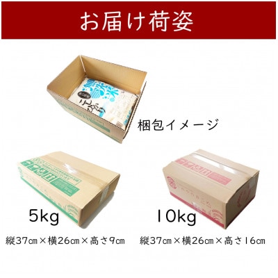 【無洗米】令和7年産 岡山県産 にじのきらめき 5kg